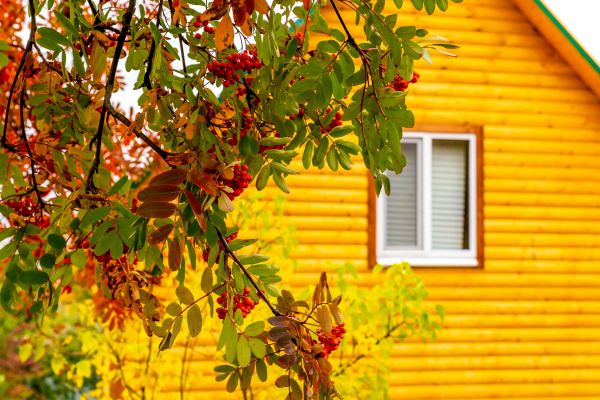 Garden Window Replacement in Richmond